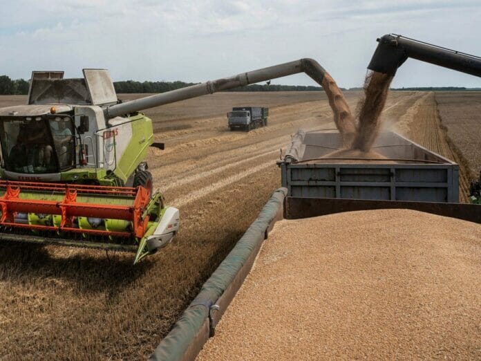 Rusia suspende el acuerdo de exportación de grano