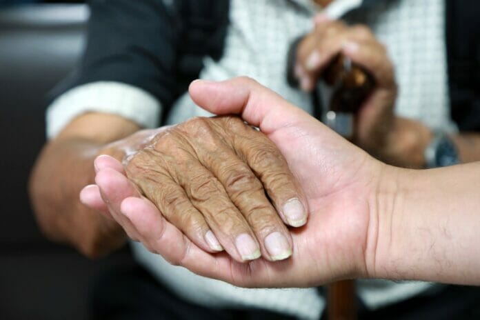 Secretos de longevidad: los alimentos antioxidantes que pueden prolongar la vida