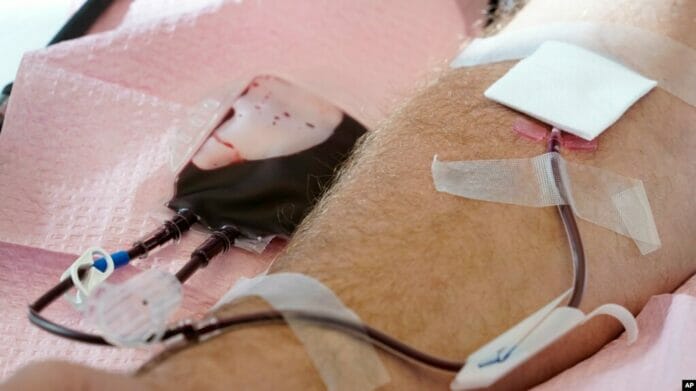 La FDA busca reducir restricciones para la donación de sangre de hombres gay
