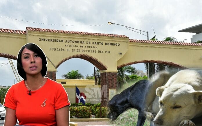 VIDEO│Tras denuncia en Matutino Su Mundo; UASD condena envenenamiento de perros