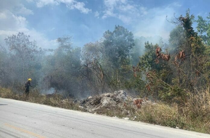 La Altagracia: imponen prisión preventiva contra nueve hombres por provocar incendio forestal