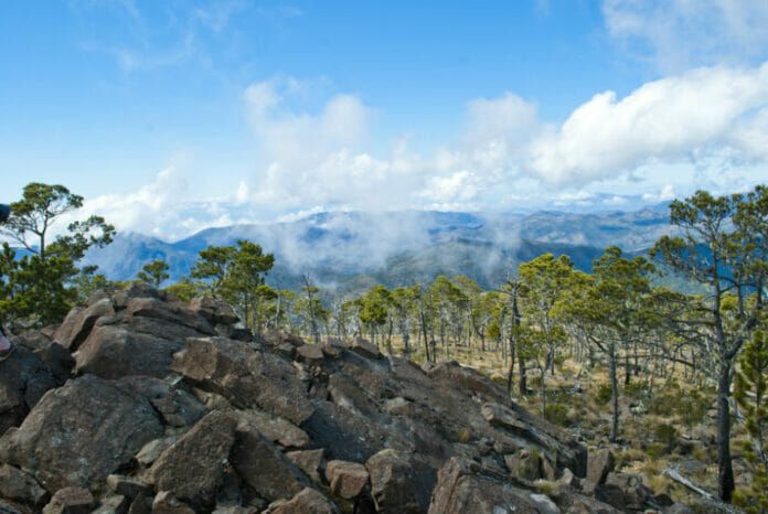 Evacuan y clausuran parques nacionales por incendios forestales