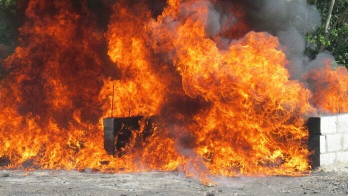 Autoridades incineran 227 kilogramos de drogas