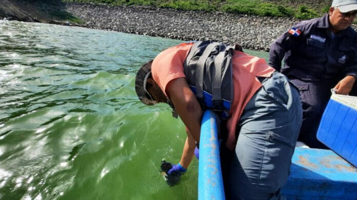 Resultados preliminares de presa de Hatillo: Muertes de peces pudieron ser por floraciones de algas