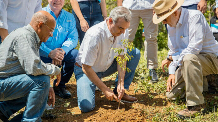 Plan Nacional de Reforestación: entidades sembrarán más de 16,000 árboles en diversas provincias