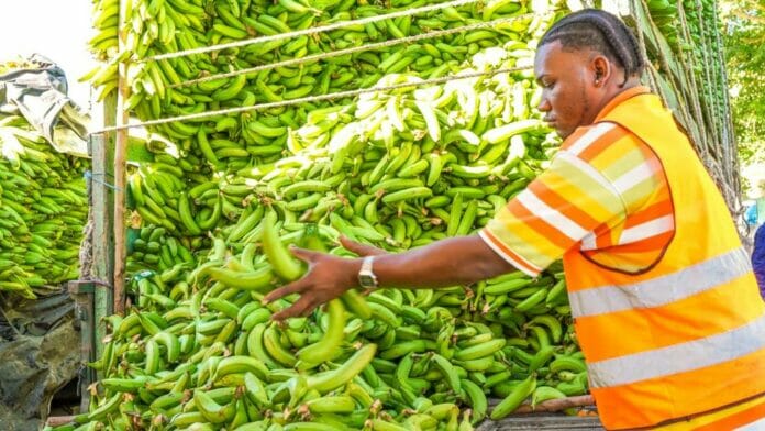 Feria “Inespre Está Padrísimo” llega a Santo Domingo Este