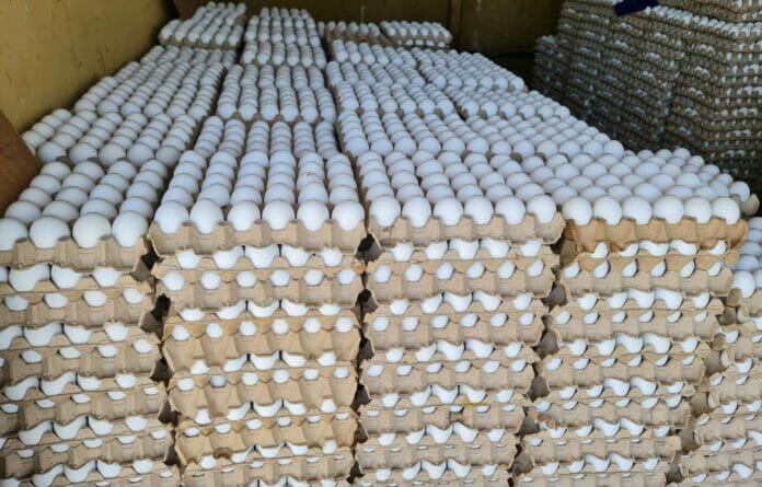 Inespre anuncia venta de cartón de huevos a 100 pesos de productores de Dajabón