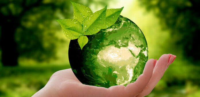 Salud Ambiental