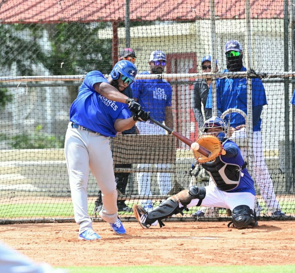 Audo Vicente: Licey tendría mejor equipo para iniciar la campaña