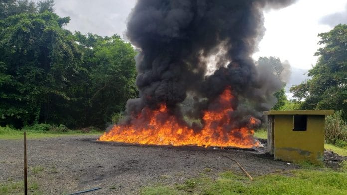 Procuraduría incinera 389 kilogramos de drogas ocupadas en varios lugares del país