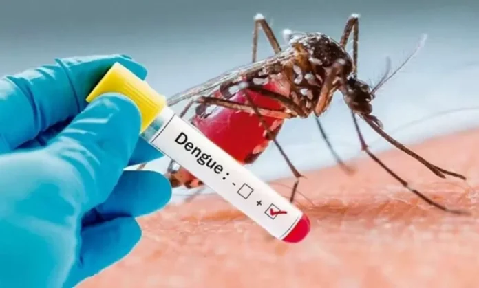 MSP notifica 3,388 casos de dengue en las primeras cinco semanas del año