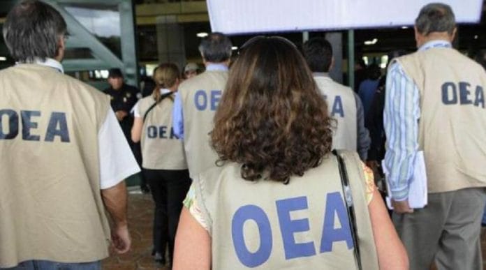 Misión OEA observó que solo 3 candidatos de 19,465 presentaron informes financieros ante la JCE