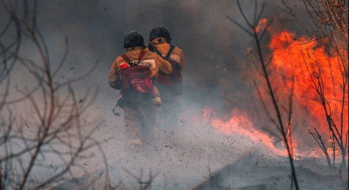 Impacto de los incendios forestales en la salud de las personas