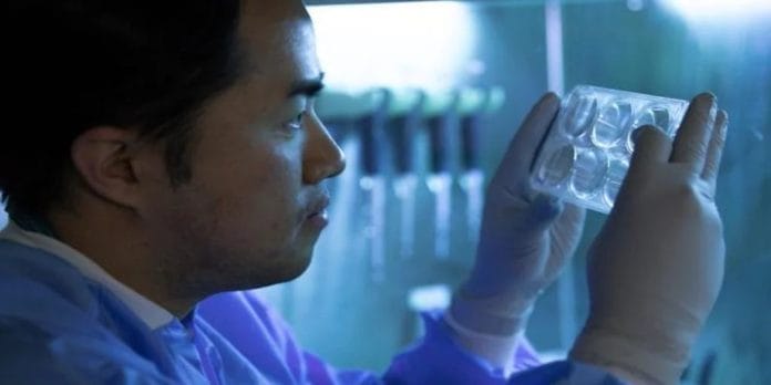 Paciente con Párkinson vuelve a moverse libremente tras implante de células cultivadas