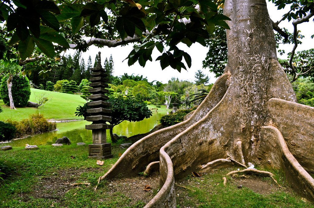 6106503829 35da6677a8 b