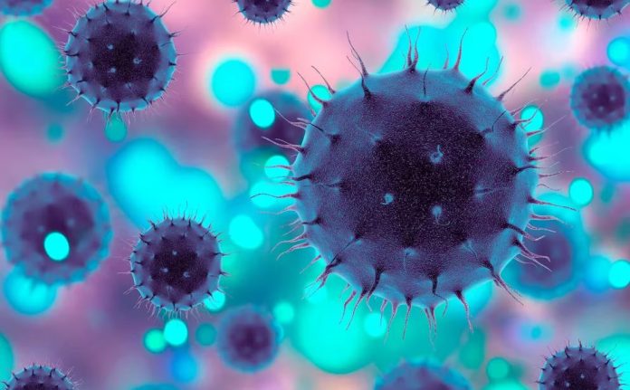 El virus de la gripe estacional con una doble mutación podría ser resistente a los medicamentos