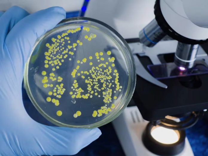 Una bacteria estreptocócica mortal se está propagando en Japón