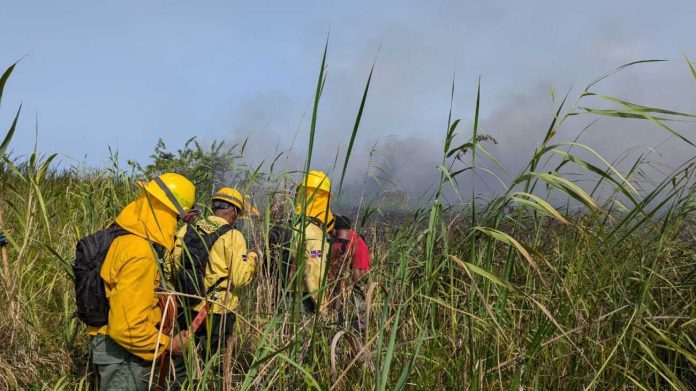 Bomberos forestales y guardaparques extinguieron el incendio en Cabarete y Goleta