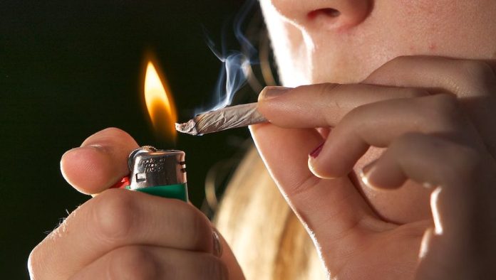 Especialistas alertan sobre consumo de marihuana entre adolescentes; aumentaría drásticamente el riesgo de trastornos psicóticos