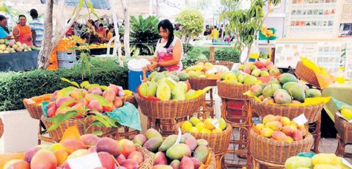 Aprueban proyecto declara municipio de Baní como “Capital del Mango”