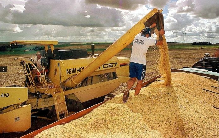 Cosecha de granos en Brasil caerá un 5.9% este año