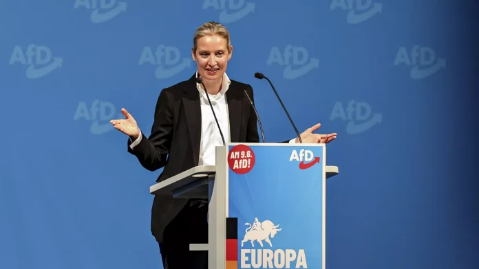 AfD forman nuevo grupo de extrema derecha 