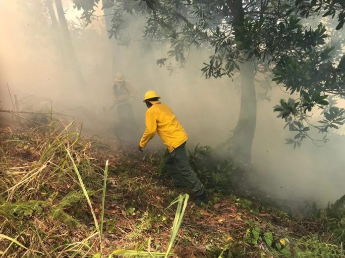 Bomberos intentan sofocar incendio forestal registrado en La Cienaguita, Jarabacoa