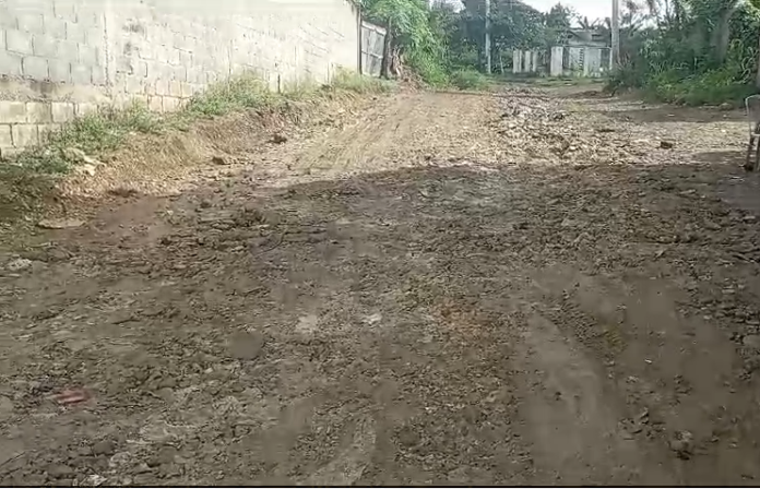 Residentes en Los Girasoles exigen reparación de sus calles