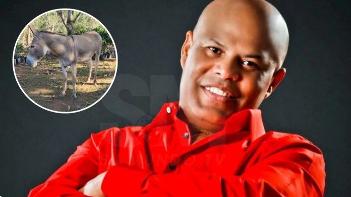 Rubby Pérez expresa su tristeza tras la desaparición de su burro Ignacio