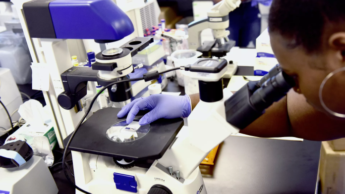 Un nuevo estudio aplica la inteligencia artificial al diagnóstico del cáncer