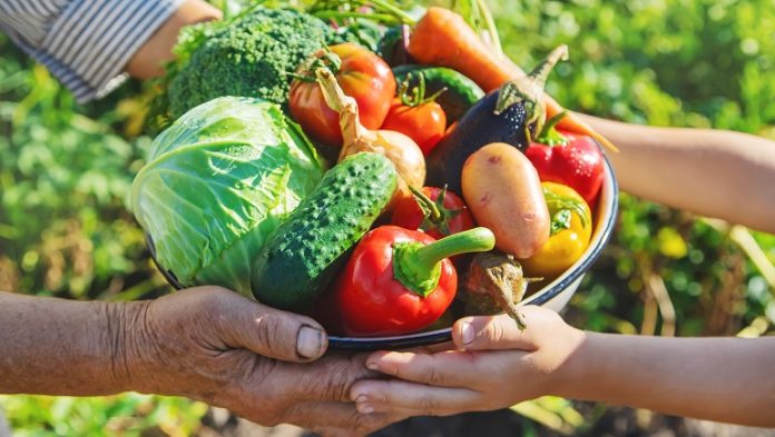 Día Mundial de la Alimentación; INABIE exhorta a la población consumir alimentos saludables