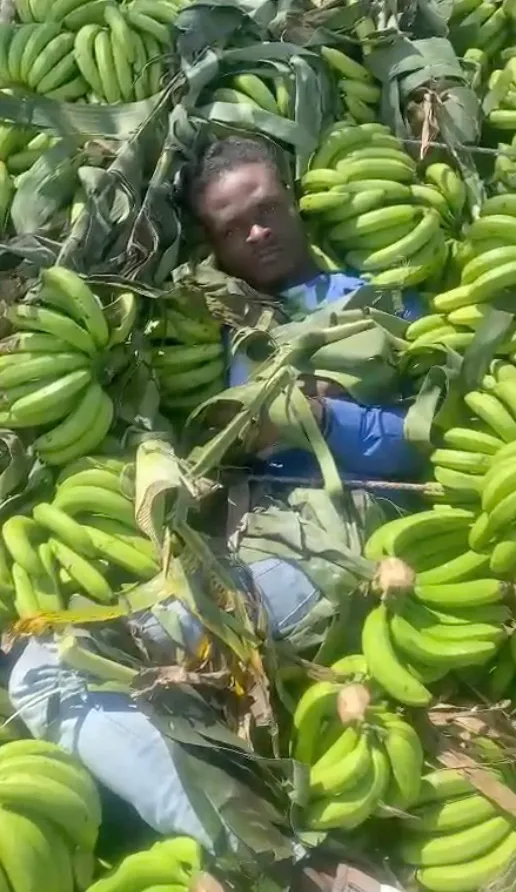 Haitiano 1