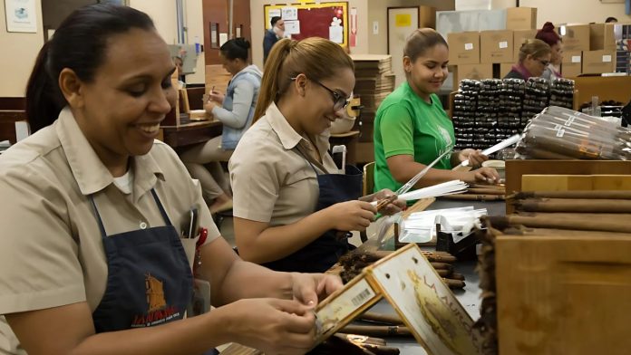 Mercado laboral en RD alcanza récords históricos en empleo y reducción de informalidad