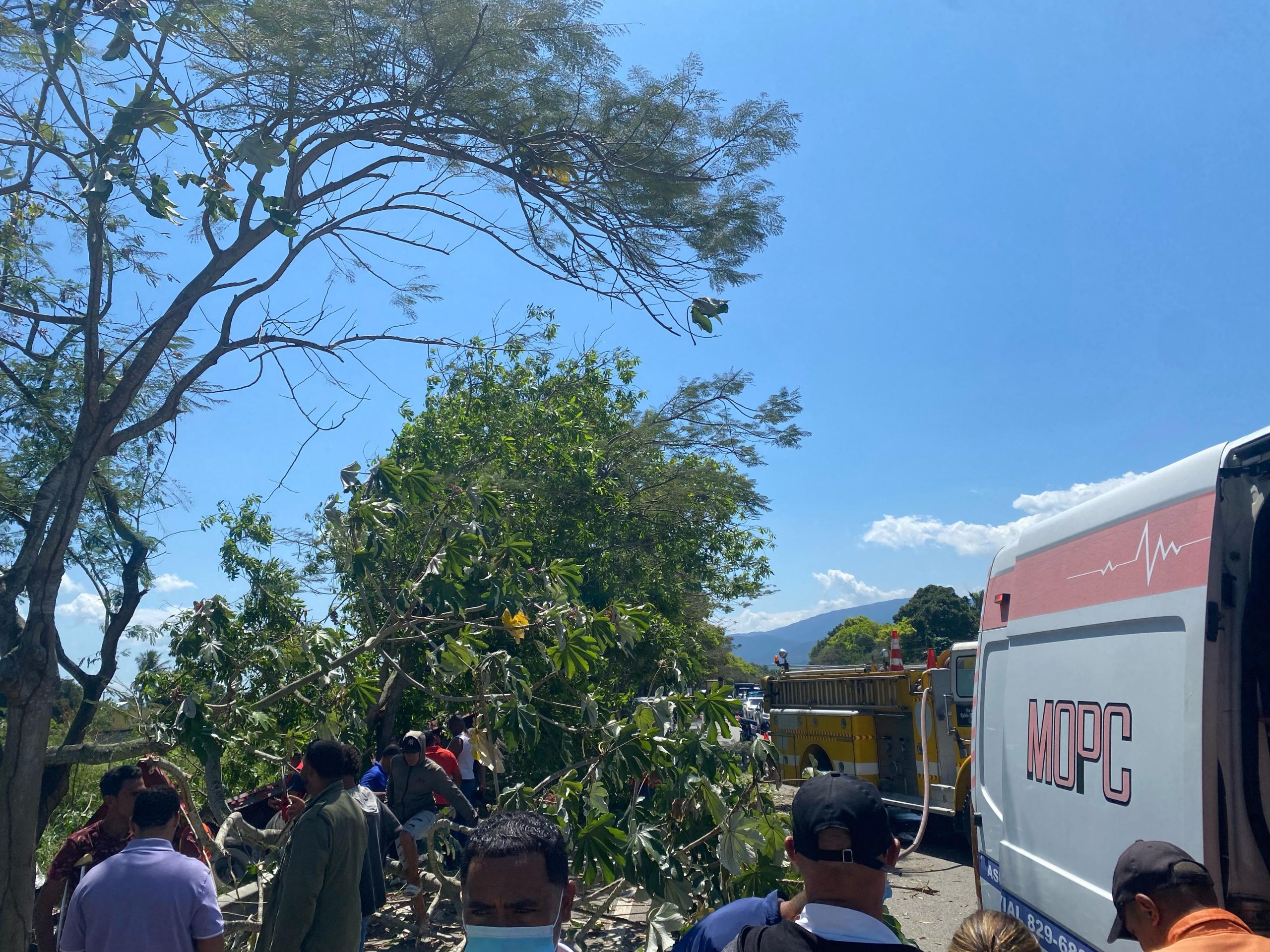 WhatsApp Image 2025 03 11 at 2.29.54 PM scaled