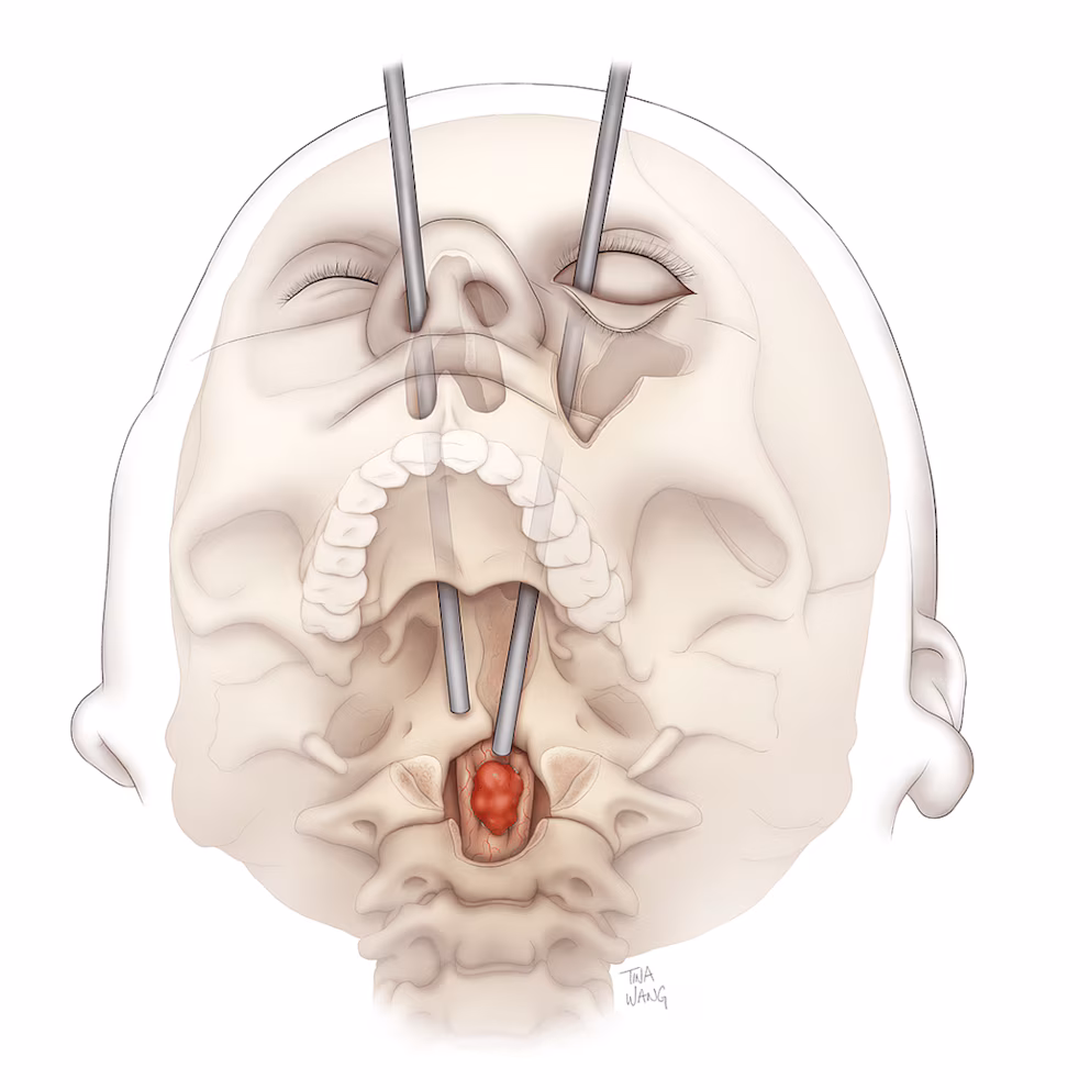 WEFS4YEBR5BQPPBRZ67SDFTGZM 1