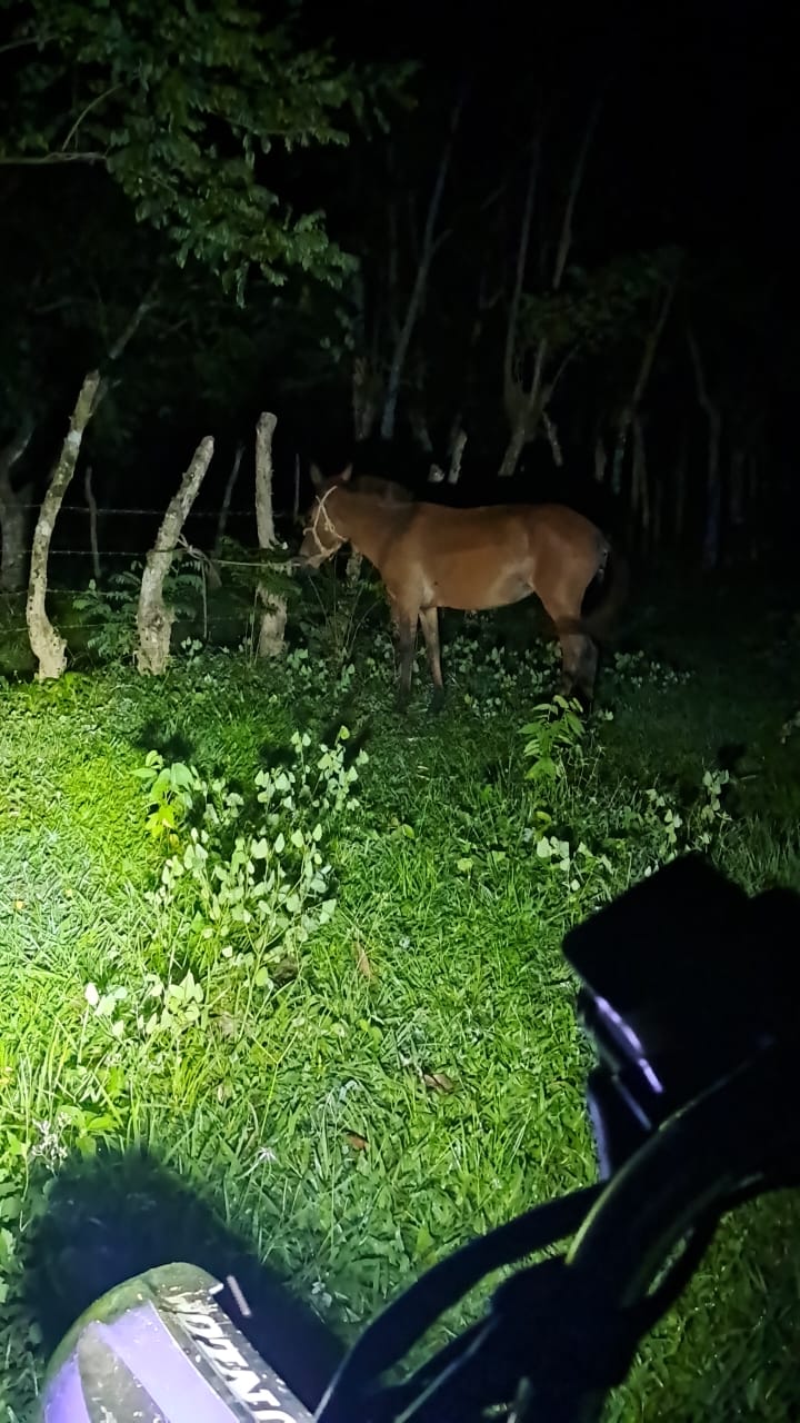 WhatsApp Image 2025 06 08 at 10.56.46 1