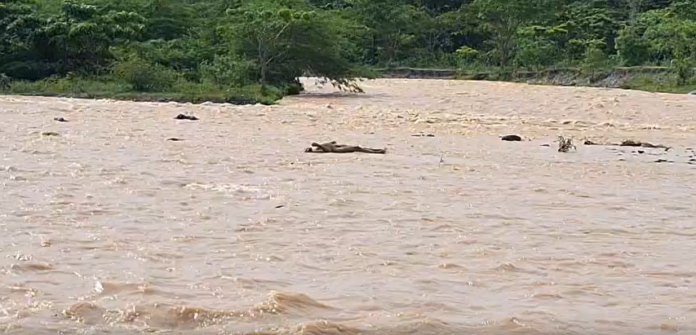 Hallan cuerpo de hombre arrastrado por el río Yuna en Monseñor Nouel