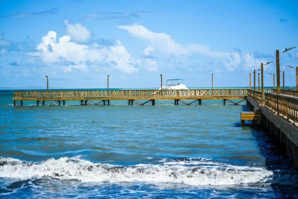 Imagen de WhatsApp 2025 10 11 a las 13.27.37 37fe972e