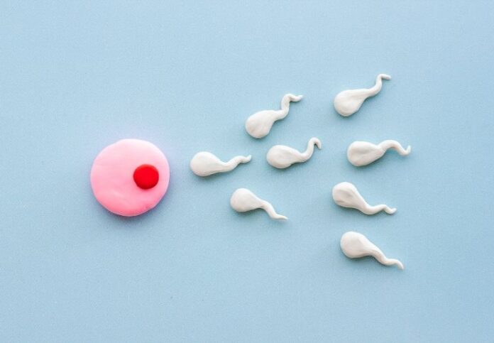 _Portada Yamilex (1016 x 720 px) (16)