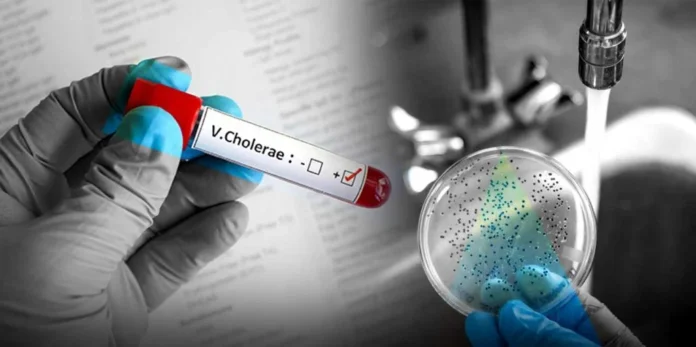 El ministro de Salud señaló que no hay casos de cólera en la República Dominicana, y las autoridades sanitarias aseguran que se mantiene la vigilancia constante y el control sanitario permanente en los puntos fronterizos.