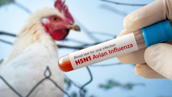 El virus se replica y propaga por el organismo causando una enfermedad que puede ser grave. Para defenderse, nuestro cuerpo activa la fiebre, un mecanismo de autodefensa que puede subir la temperatura corporal a los 41ºC.