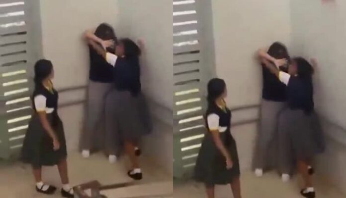 El incidente, captado por estudiantes que presenciaron la escena, corrió rápidamente entre padres, docentes y vecinos, quienes expresaron profunda indignación por el nivel de violencia mostrado dentro de un espacio destinado al aprendizaje.