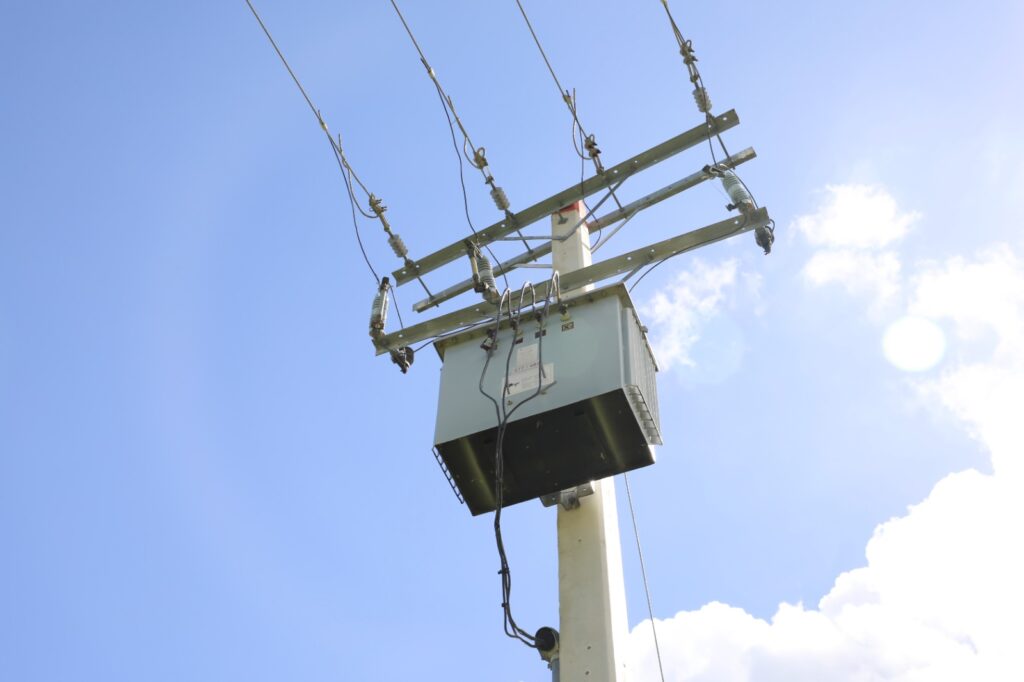 WhatsApp Image 2025 11 19 at 11.48.43 AM