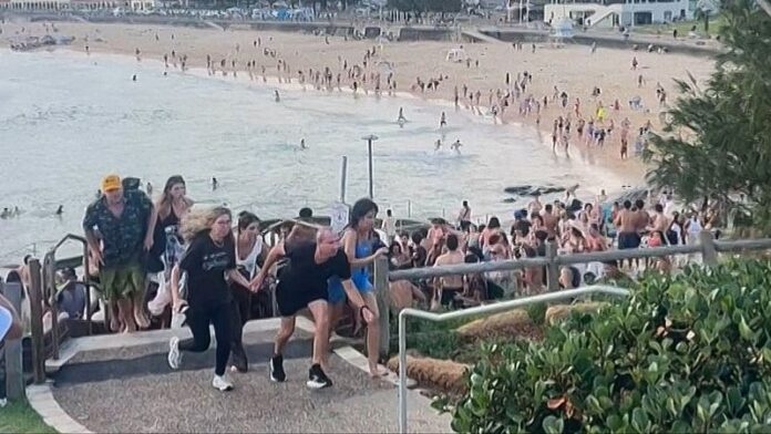 Aumentan a 15 el balance de muertos tras ataque terrorista en playa de Sídney