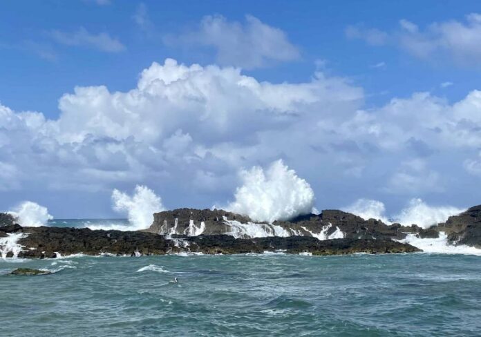 COE emite alerta: fuertes vientos y oleaje peligroso obligan a embarcaciones a permanecer en puerto
