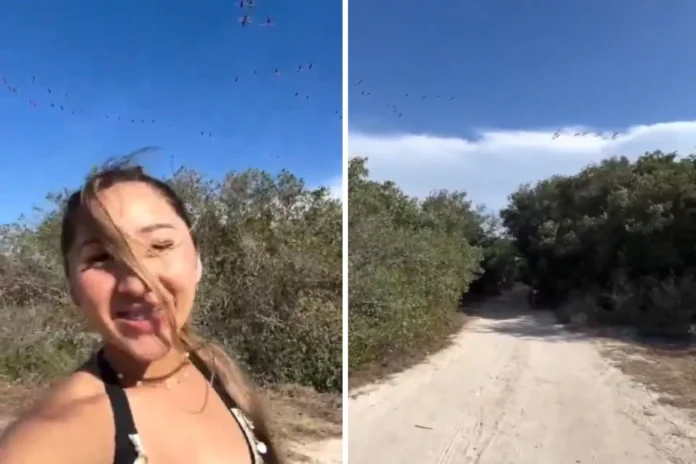 Tras la difusión del video, miles de usuarios reaccionaron con críticas, señalando que el ruido habría alterado el comportamiento natural de los animales.