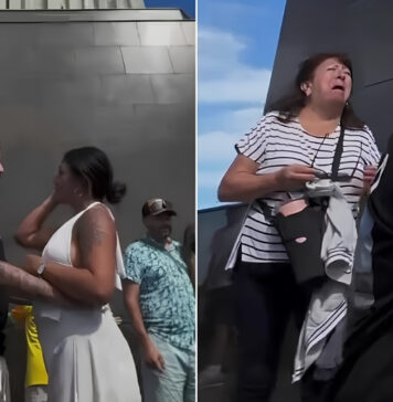 La pedida de mano en el Cristo Redentor que se volvió viral por un insólito detalle familiar La pedida de mano en el Cristo Redentor que se volvió viral por un insólito detalle familiar