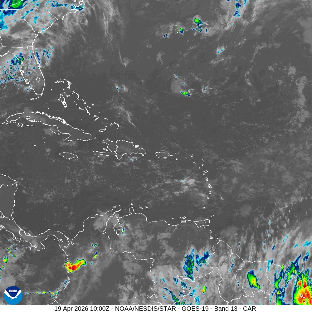 WhatsApp Image 2026 04 19 at 09.50.51