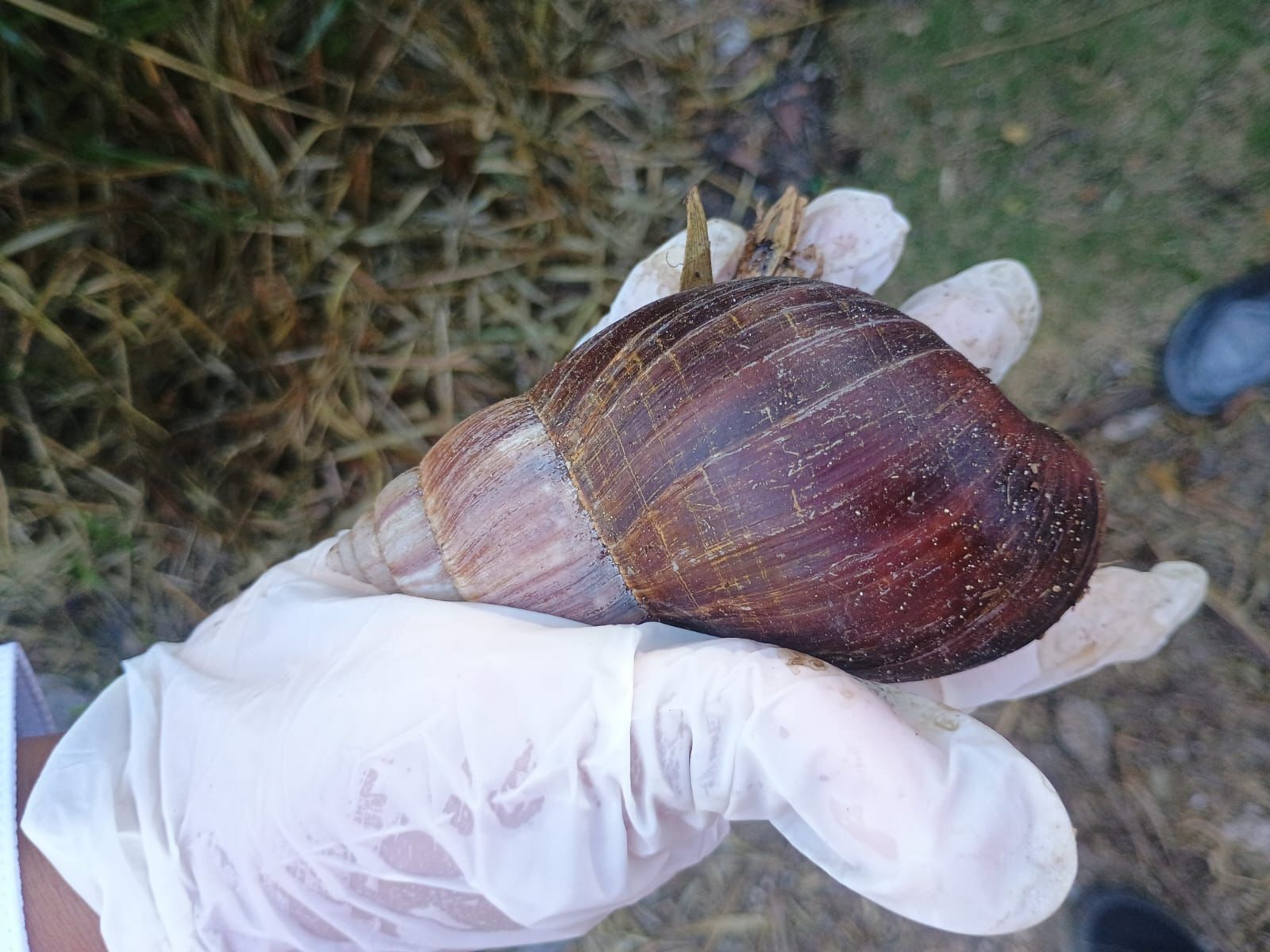 WhatsApp Image 2026 04 28 at 09.35.47 1