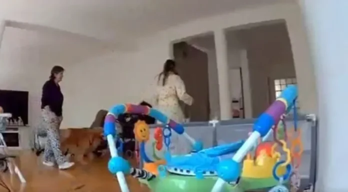 Detienen en Venezuela a suegra de exreina de belleza en México acusada de matarla a tiros